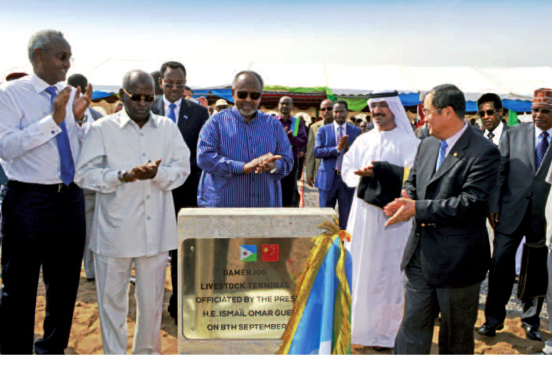 DAMERJOG-LIVESTOCK-TERMINAL